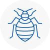 Bed Bug Extermination In Ross