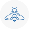 Bee Nest Removal Ross