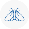 Moth Control Specialists In Ross