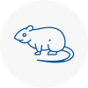 Rat Control Ross