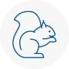 Ross Rodent Removals