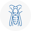 Ross Wasp Nest Removal